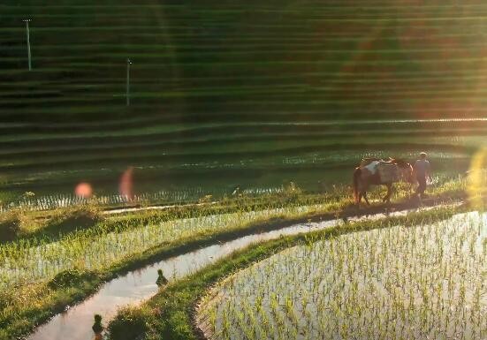 第33个全国“土地日”主场活动在江苏南京举行
