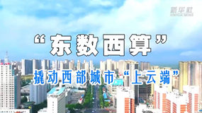 “東數(shù)西算”撬動(dòng)西部城市“上云端”