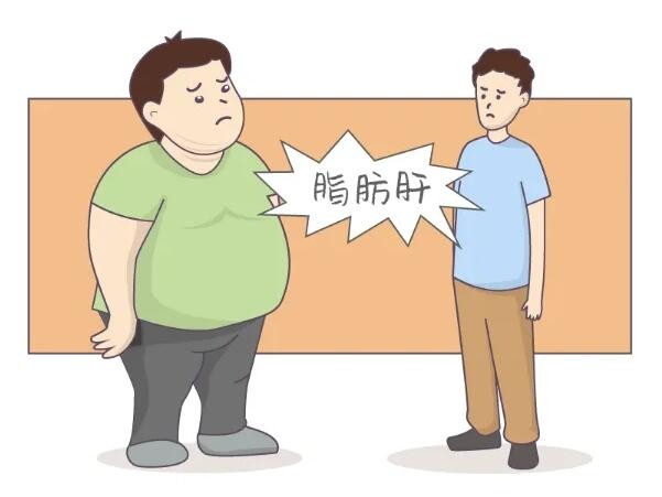 瘦的人得脂肪肝可能更危险？整理一份“自救指南”