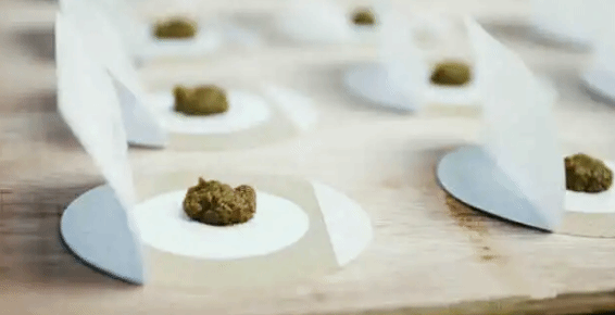 哪些人群适合天灸？饮食又要注意些什么