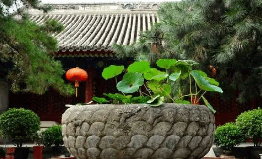 李商隐一首题壁诗 充满禅意 颈联更值得细细咀嚼