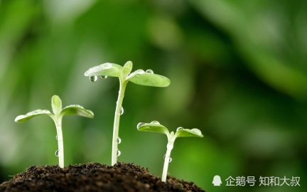 走好人生每一步 才会在岔道口不迷茫、不纠结