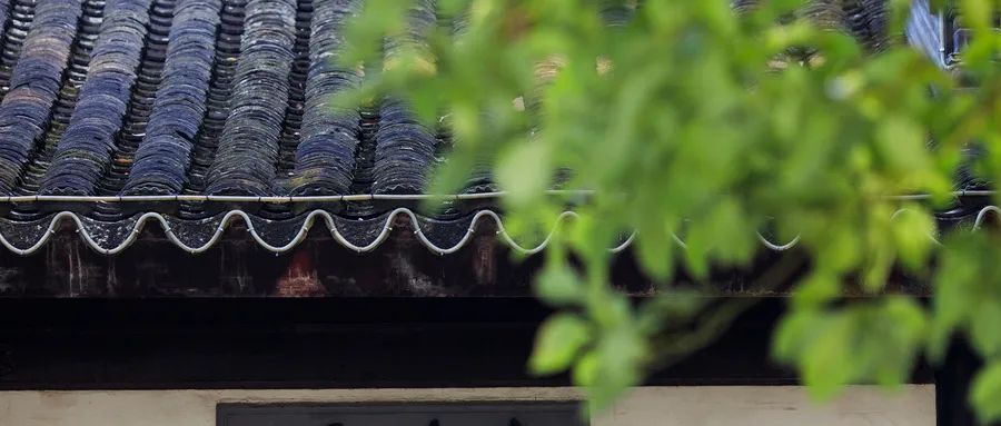 《道德经》：这三种人 自带贵气 遇到请深交