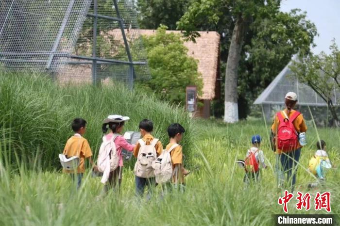 良渚古城遺址公園開展研學(xué)游?！×脊芪﹫D