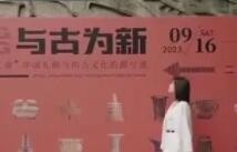 “全网最冷门专业”女孩创业 用甲骨文讲述商朝故事