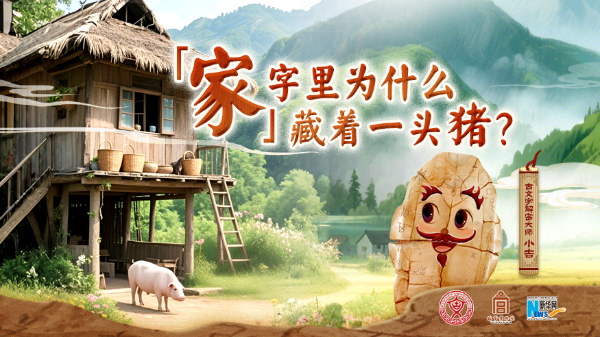 字古以來(lái)丨“家”字里為什么藏著一頭豬？