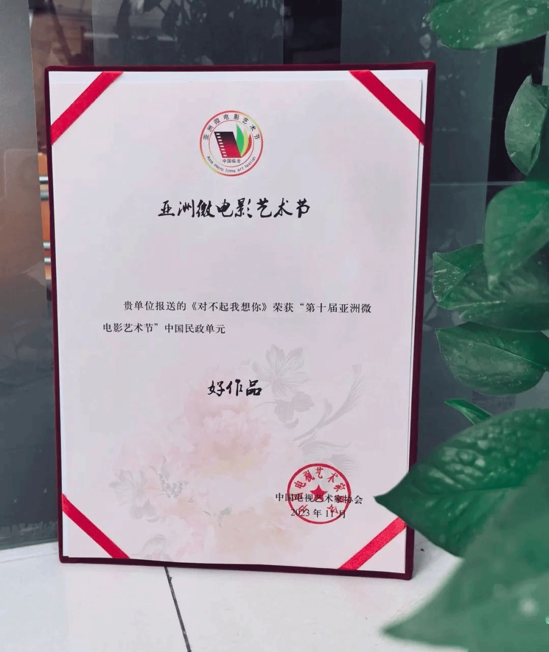 喜報傳來！反邪教微電影《對不起我想你》，亞洲微電影節(jié)獲獎！
