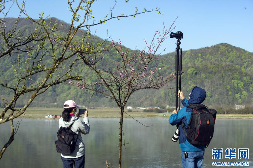 5月3日，攝影愛好者在湖北神農(nóng)架大九湖景區(qū)拍攝。 “五一”假期，人們走出家門，親近自然，放松身心，享受假期休閑時(shí)光。 新華社發(fā)（文振效 攝）