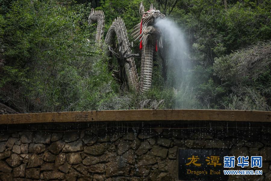 夏日好乘涼 這是6月17日拍攝的龍泉寺景區(qū)一景。 天氣漸熱，位于甘肅省平?jīng)鍪谐缧趴h的龍泉寺景區(qū)綠樹成蔭，溫度適宜，是夏日乘涼避暑勝地。 新華社發(fā)（馬希平 攝）