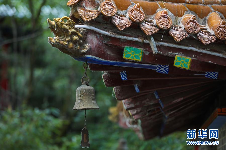夏日好乘涼 這是6月17日拍攝的龍泉寺景區(qū)一景。 天氣漸熱，位于甘肅省平?jīng)鍪谐缧趴h的龍泉寺景區(qū)綠樹成蔭，溫度適宜，是夏日乘涼避暑勝地。 新華社發(fā)（馬希平 攝）