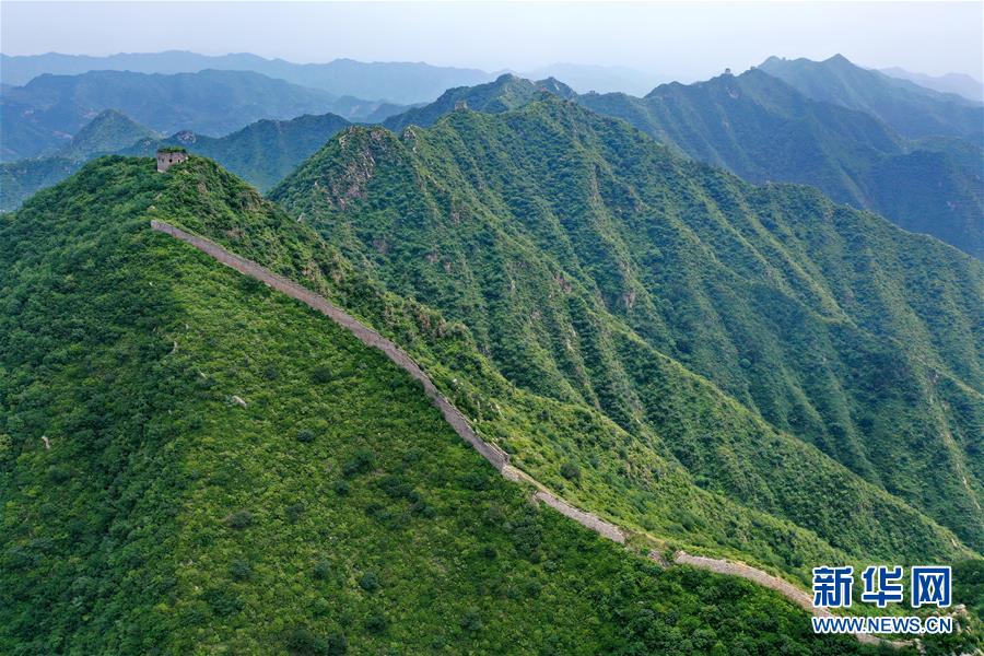 這是7月13日拍攝的河北省遷安市紅峪口長城（無人機(jī)照片）。 盛夏時(shí)節(jié)，位于河北省遷安市的紅峪口長城兩側(cè)樹木蔥郁。巍峨的長城與連綿的山嶺相映襯，風(fēng)光壯美。 新華社記者 牟宇 攝