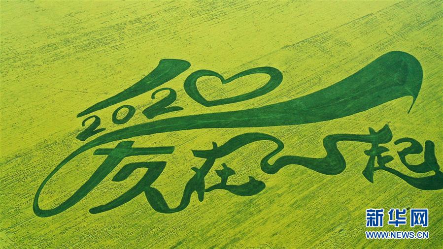 這是7月22日拍攝的門源回族自治縣的油菜花田（無人機(jī)照片）。 時(shí)下正值高原油菜花競相綻放的季節(jié)，在青海省海北藏族自治州門源回族自治縣，金黃色的油菜花在高原藍(lán)天和云霧映襯下形成一幅壯麗畫卷，吸引游客前來觀賞。 新華社記者 吳剛 攝