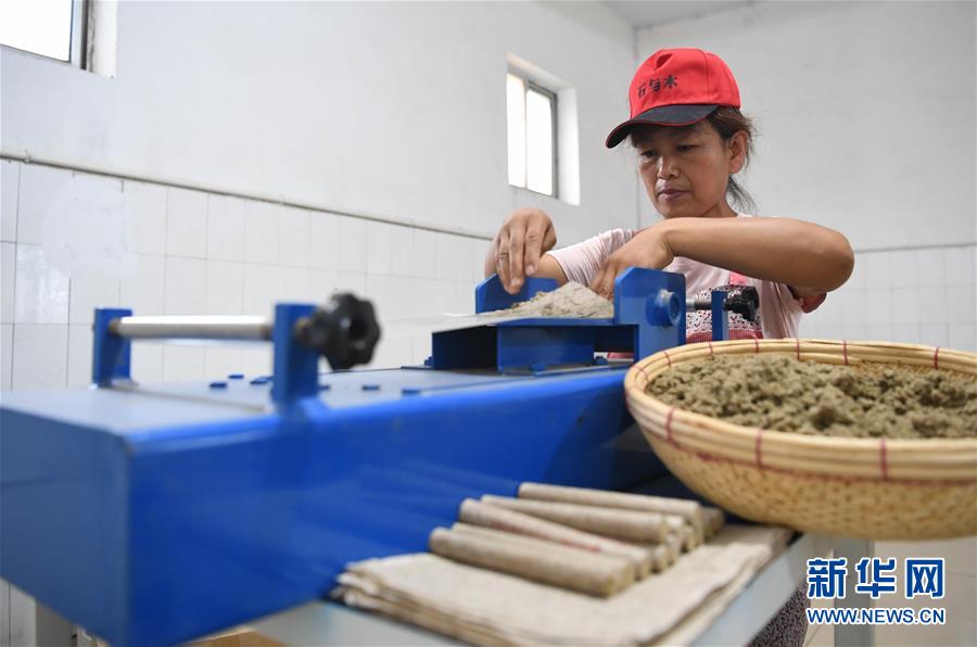 8月12日，衡水市冀州區(qū)石與木艾草文化園員工在卷制艾條。 近年來(lái)，河北省衡水市冀州區(qū)石與木艾草文化園充分挖掘中醫(yī)藥資源，打造集艾草種植、古法制艾、艾草文創(chuàng)、經(jīng)營(yíng)銷售等為一體的多元化、綜合性艾文化產(chǎn)業(yè)，生產(chǎn)艾條、艾絨、艾葉包等十余種艾草產(chǎn)品，帶動(dòng)農(nóng)戶實(shí)現(xiàn)增收。 新華社記者 朱旭東 攝