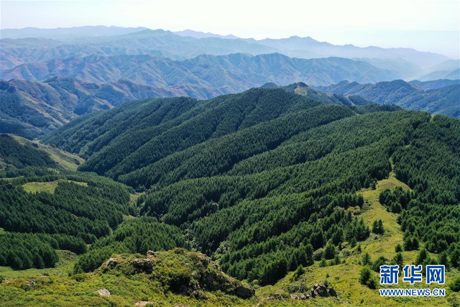 這是8月27日拍攝的蘇木山森林公園（無人機(jī)照片）。 近日，位于內(nèi)蒙古自治區(qū)烏蘭察布市興和縣的蘇木山森林公園綠意濃濃，景色宜人。 新華社記者 李志鵬 攝