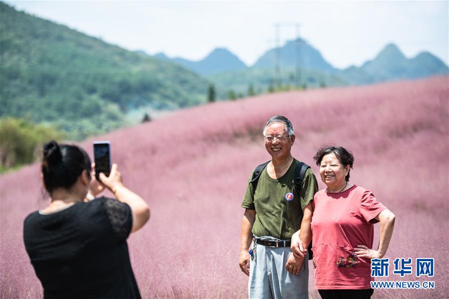 9月2日，游客在長順縣神泉谷景區(qū)內(nèi)拍照留念。 近日，貴州省黔南布依族苗族自治州長順縣神泉谷景區(qū)內(nèi)的粉黛亂子草進(jìn)入盛開期，成片的“粉色海洋”吸引眾多游客前來觀賞游玩。 新華社記者 陶亮 攝
