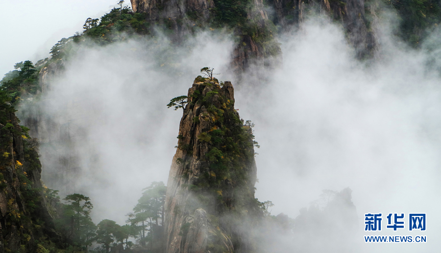 10月5日，安徽黃山風景區(qū)雨后出現(xiàn)大面積云海景觀。