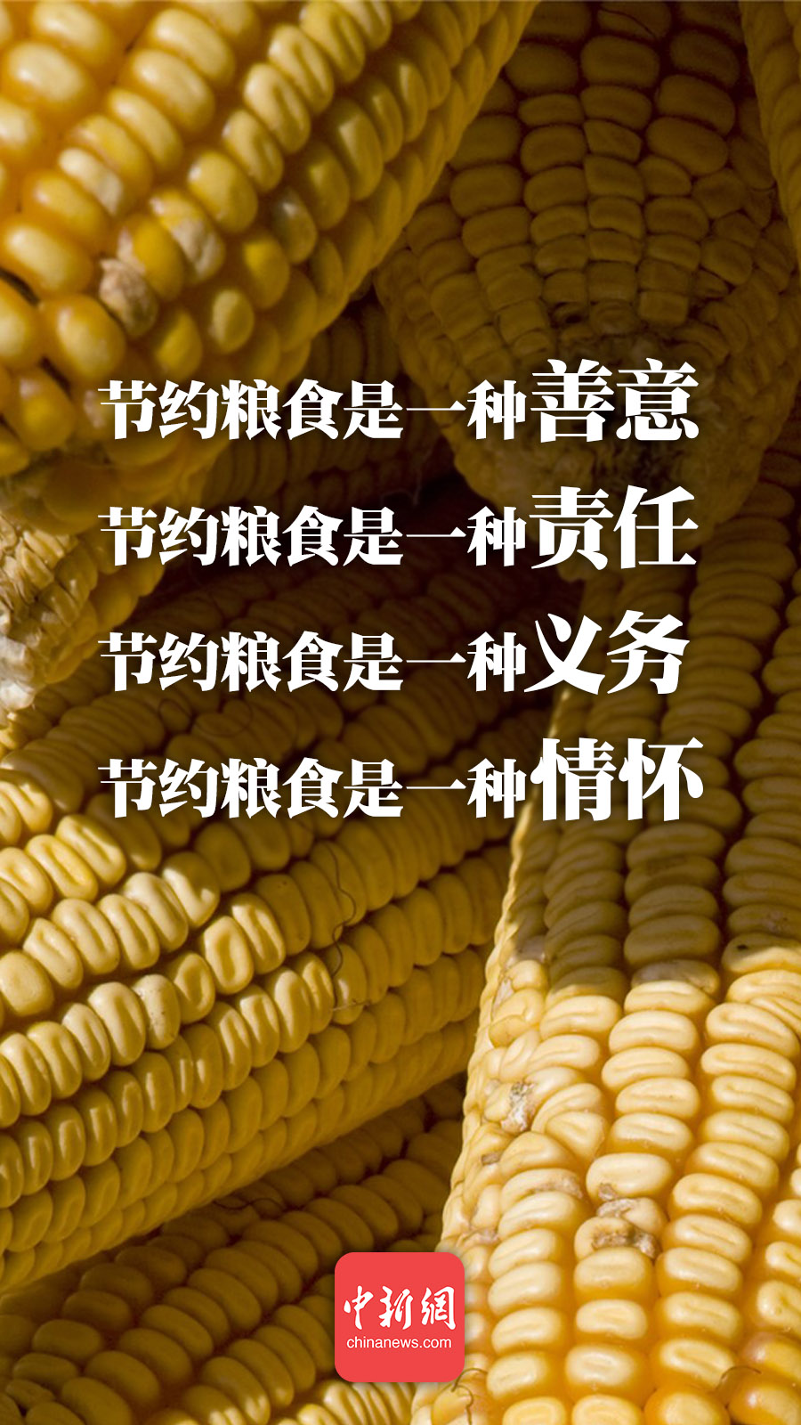 點擊進(jìn)入下一頁