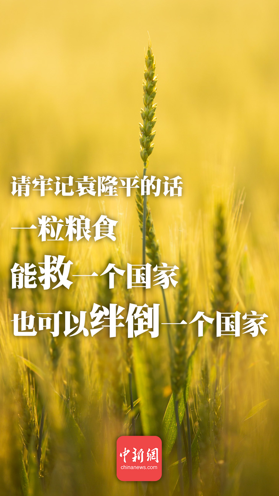 點擊進(jìn)入下一頁