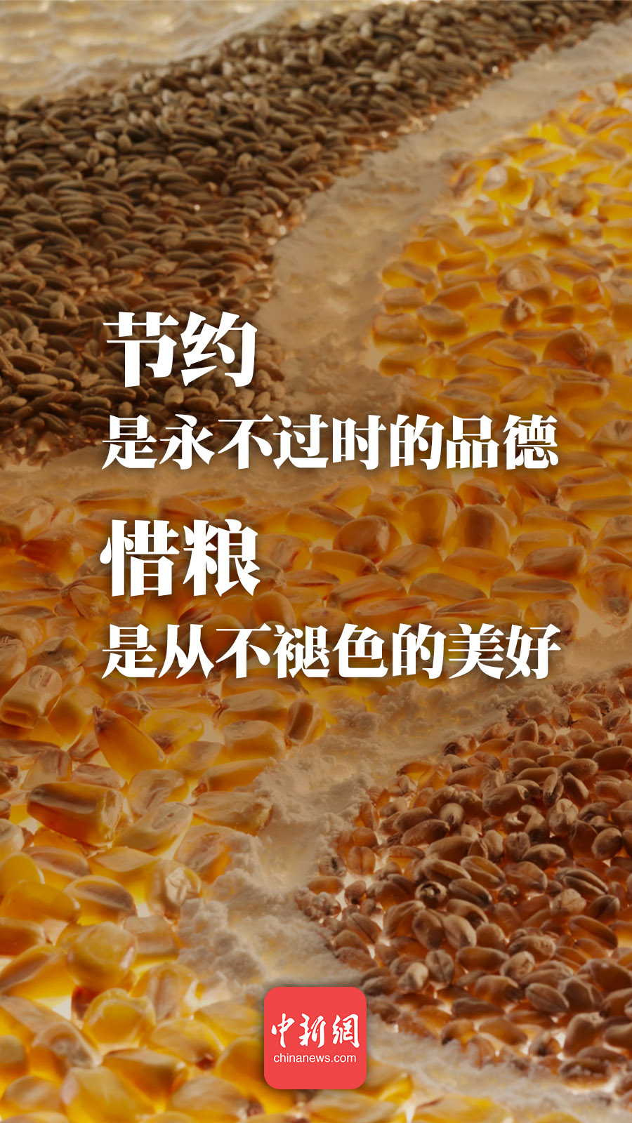 點擊進(jìn)入下一頁