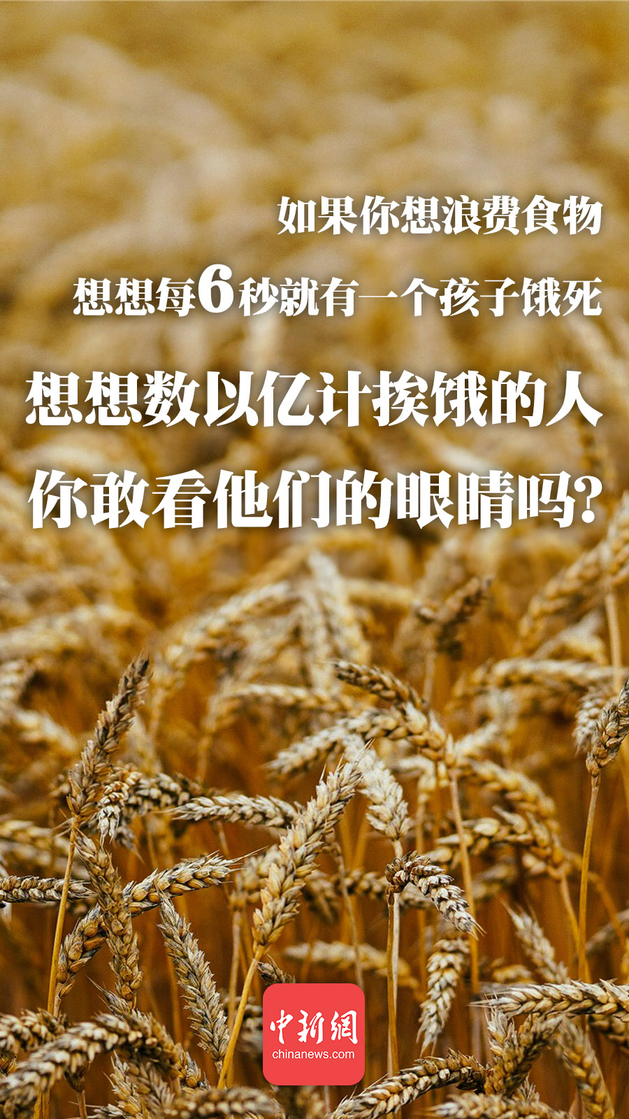 點擊進(jìn)入下一頁