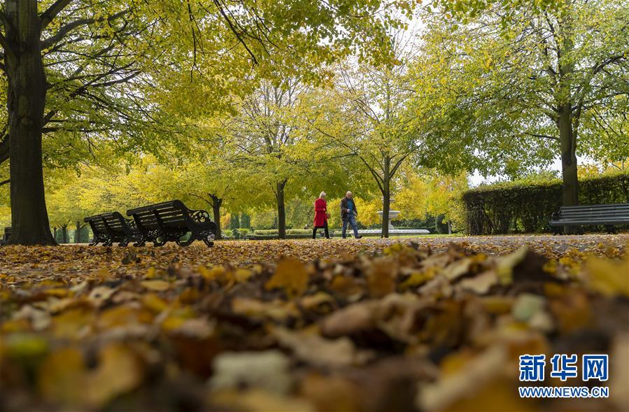 這是10月19日拍攝的英國倫敦攝政公園秋景。 新華社記者 韓巖 攝