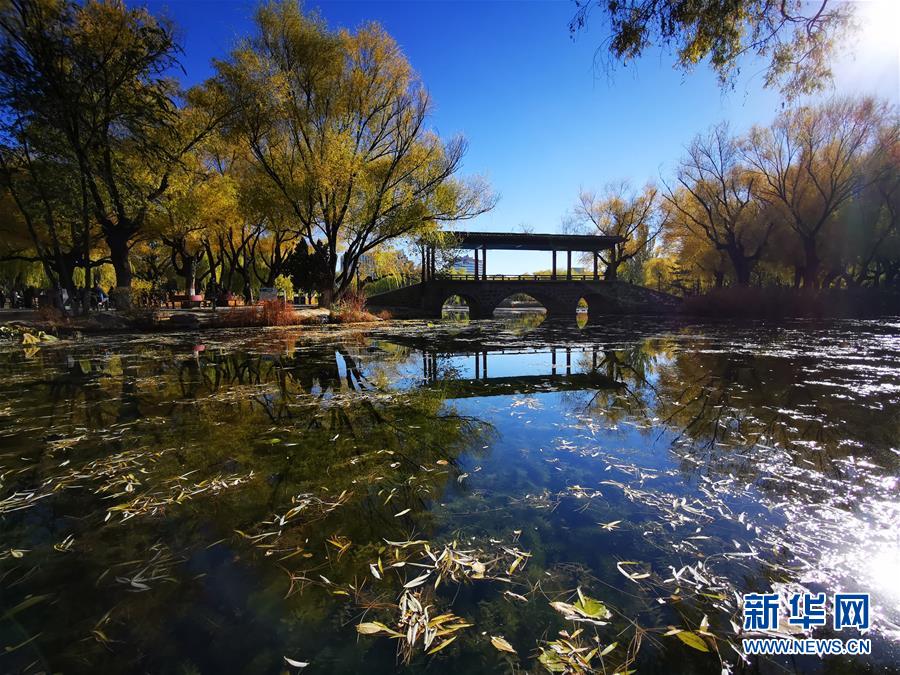 10月23日拍攝的呼和浩特市滿都海公園景色。 霜降時(shí)節(jié)，塞外青城內(nèi)蒙古呼和浩特秋色濃郁，美景滿目。 新華社記者 賈立君 攝