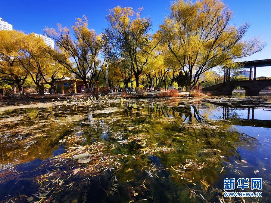 10月23日拍攝的呼和浩特市滿都海公園景色。 霜降時(shí)節(jié)，塞外青城內(nèi)蒙古呼和浩特秋色濃郁，美景滿目。 新華社記者 賈立君 攝
