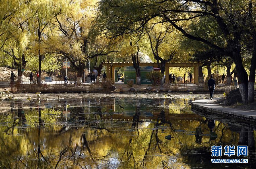 10月23日拍攝的呼和浩特市滿都海公園景色。 霜降時(shí)節(jié)，塞外青城內(nèi)蒙古呼和浩特秋色濃郁，美景滿目。 新華社記者 賈立君 攝