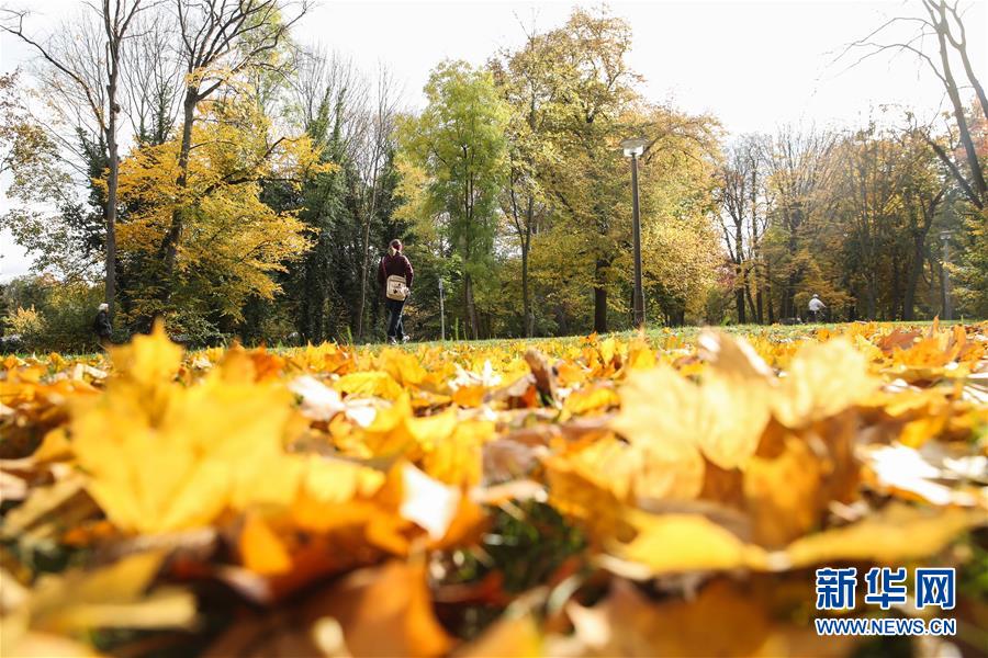 這是10月28日在德國首都柏林一座公園內(nèi)拍攝的一名行人。 新華社記者 單宇琦 攝