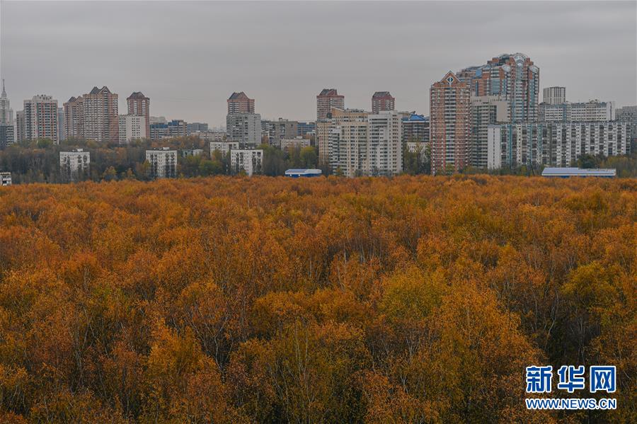 這是10月29日在俄羅斯莫斯科的科羅緬斯克莊園拍攝的秋景。 科羅緬斯克莊園位于俄羅斯首都莫斯科東南，占地390公頃。作為莫斯科著名的文化古跡，科羅緬斯克莊園每天吸引眾多游客前來游覽。 新華社發(fā)（葉甫蓋尼·西尼岑攝）