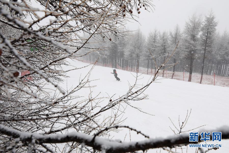 11月18日，滑雪愛好者在崇禮區(qū)一滑雪場滑雪。當日，河北省張家口市崇禮區(qū)迎來一場大范圍降雪，滑雪場銀裝素裹，吸引人們前往體驗滑雪的魅力。新華社發(fā)（武殿森 攝）