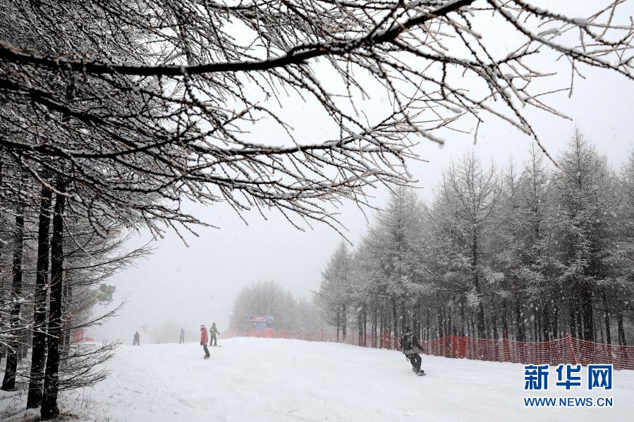 11月18日，滑雪愛好者在崇禮區(qū)一滑雪場滑雪。當日，河北省張家口市崇禮區(qū)迎來一場大范圍降雪，滑雪場銀裝素裹，吸引人們前往體驗滑雪的魅力。新華社發(fā)（武殿森 攝）