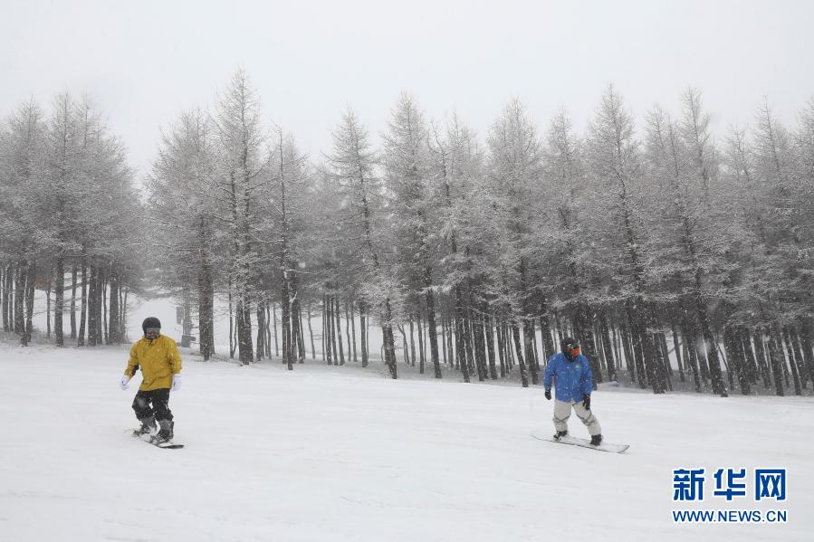 11月18日，滑雪愛好者在崇禮區(qū)一滑雪場滑雪。當日，河北省張家口市崇禮區(qū)迎來一場大范圍降雪，滑雪場銀裝素裹，吸引人們前往體驗滑雪的魅力。新華社發(fā)（武殿森 攝）