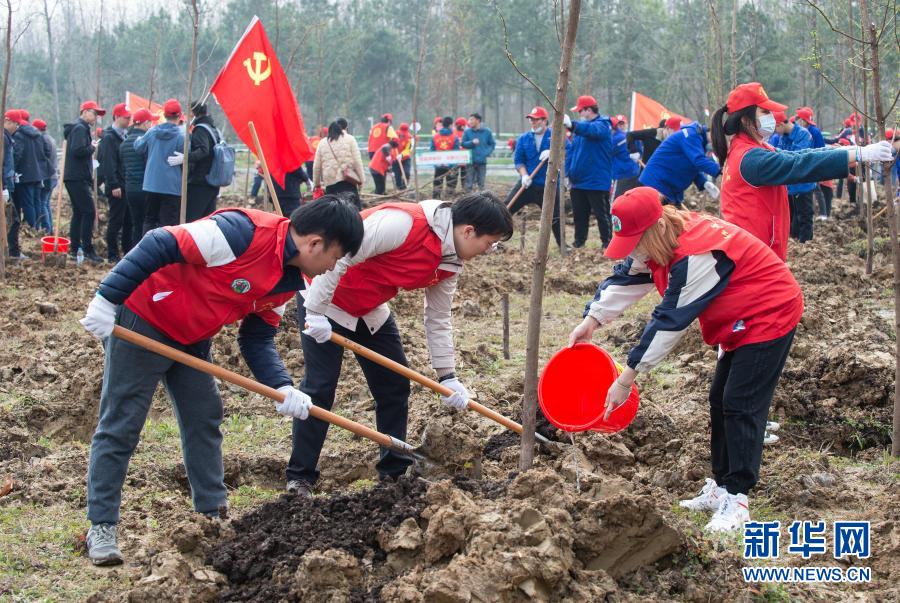 　　3月10日，在合肥濱湖國(guó)家森林公園，志愿者在種植杉樹(shù)苗?！　‘?dāng)日，由共青團(tuán)安徽省委員會(huì)、安徽省林業(yè)局主辦的“青春心向黨 踐行林長(zhǎng)制”植樹(shù)公益活動(dòng)在合肥濱湖國(guó)家森林公園啟動(dòng)，近300名市民、志愿者響應(yīng)“綠色征集令”的號(hào)召，共赴森林公園種下杉樹(shù)苗200余棵，在綠化自然環(huán)境的同時(shí)，傳播綠色、低碳的生活理念?！　⌒氯A社記者 杜宇 攝